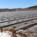 서산 태양광발전소 이미지