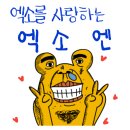 이쁘당개 이미지