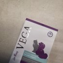 베가(VEGA) | 닥터레이 베가(Vega) 간영양제로 우리 강아지 건강 오래오래 유지하기