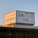 지엔지카 | 25년 3월