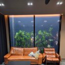 포항 더리브펜션4 | 경북 포항 구룡포 신축 풀빌라 독채 펜션 더리브풀빌라 402동 성인 5명 숙박