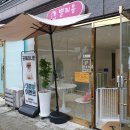 별찌몽 | [별찌몽]-대전 가성비 좋은 신상 애견 미용실 방문 후기 feat.포메 30%할인 / 내돈 내산