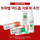 정자약국 이미지