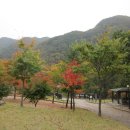 당숲공원 화장실 이미지