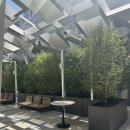 신상 호텔 수페리어 킹룸 투숙 후기, 루프탑 바, 리조트피, 텐더로인 치안(Timbri Hotel San Francisco)