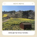 산업로-1 | 광주근교 아이와 함께 가기 좋은 구례 지리산 치즈랜드 수선화축제 3월28일 방문 후기