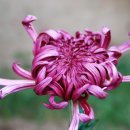 오산지구대 이미지