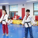 펀 태권도장 이미지