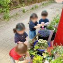 꽃과호수어린이집 이미지