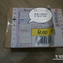 [엔젤스펫]강아지 목줄/엔젤스펫 리틀본 구매 후기♡