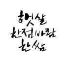 인스브레인 이미지