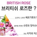 더 브리티쉬 이미지