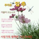 하늘정원장 이미지