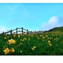 (주)덕유 이미지