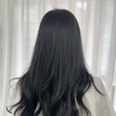 유디헤어 이미지