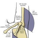 바른몸 퍼스널 트레이닝 이미지