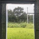 영권농장 이미지