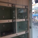 태성동물병원 이미지