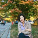 달궁자동차야영장 이미지