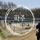 UR(파주시)-[교하로]-상-45 | 파주 타조농장 돌아기랑 동물원 다녀오기 동물먹이체험 승마체험