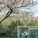 서호동 새마을금고 앞 이미지