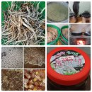 자연산쑥개떡(반죽덩이) 장작불수제조청(쌀.무.도라지.생강.옥수수조청) 이미지