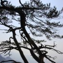 7호선상봉역(하선)통합매점 | 100대명산 춘천 오봉산 산행(2014. 03. 23) - 한 폭의 동양화를 감상한 듯한 춘천 오봉산