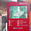 칠곡보사계절썰매장 이미지