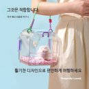 케이지