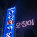 용궁회나라 이미지