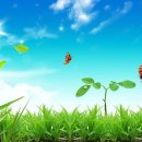 날마다좋은날 이미지