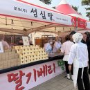 그늘막129 | 67만명 몰리며 역대급 흥행 기록한 논산딸기축제, 흥행 비결은 [제철축제]