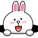 (주)엘디에스 이미지