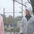 투혼 이미지
