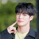 그린그린
