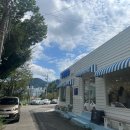 무병짱수 이미지