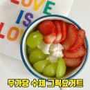 주정차-22 | 의정부시청카페 그릭당 그릭요거트 택배 후기 무가당인데 맛있어
