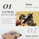모아흙침대