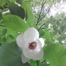 고향내음 이미지