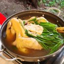 힐링산장 | 북한산 계곡 백숙 서울 근교 보양식 힐링 맛집 단군산장 방문 후기