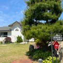 호영이네 하우스 이미지