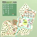 한반도솔숲쉼터 이미지