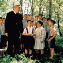 마리포사 이미지