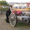 일영농장 이미지