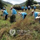 단양축산업협동조합소백산관광목장