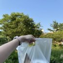 계란빵야디저트카페
