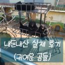 베어트리파크 입장료 및 관람 후기 [내돈내산]