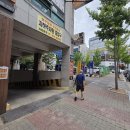 도마뱀76 | [청주파충류] 청주도마뱀 분양 맛집 '파충류샵킹크레' 방문기! 800마리 역대급 규모에 반하고 왔어요...