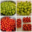 용인대진안태권도장 이미지