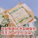 일건공원빌라 | 테이크아웃 포장 전문점 '카페인중독 역삼점' 솔직 후기 (매장사진, 청포도에이드, 레드자몽에이드, 햄...